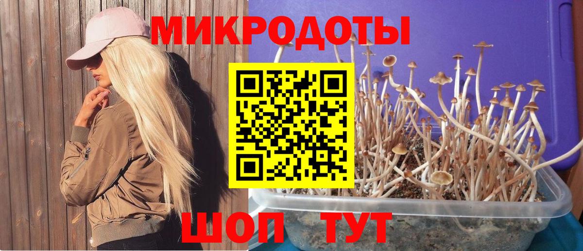 Гашиш Ишим