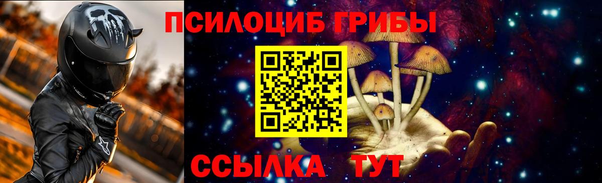 Ишим  Псилоцибиновые грибы Psilocybe  Вход с VPN 